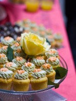 {SF} All The Cupcakes You Can Handle: At The SF Cupcake Challenge