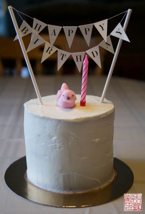 penelope bird pink ombre birthday cake