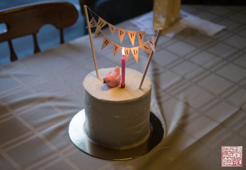 penelope bird pink ombre birthday cake