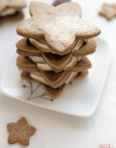 Calm and Bright: Speculoos S’mores to Welcome the New Year