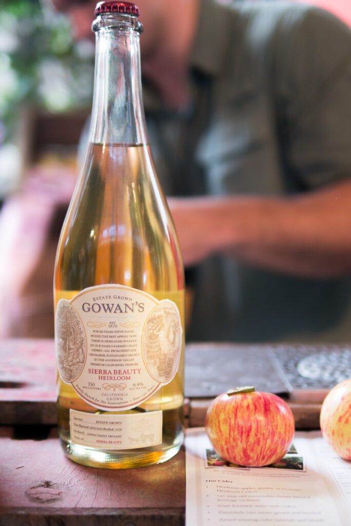 gowans apple cider