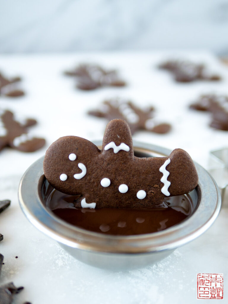 Chocolate Gingerbread Dipped