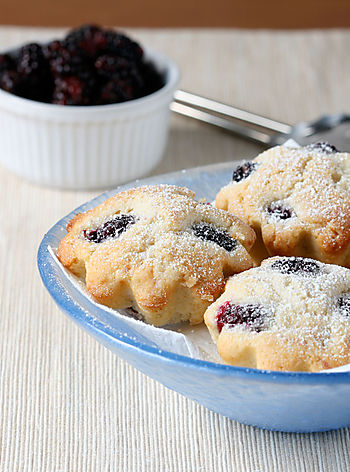 Ollalieberry-cupcakes