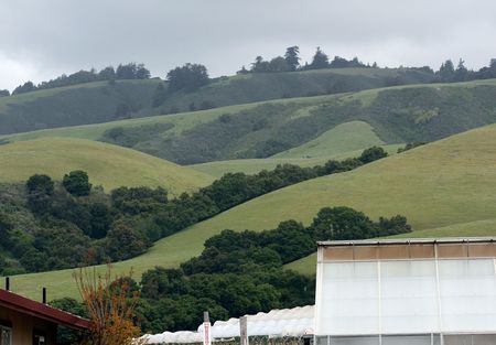 Montereyhills