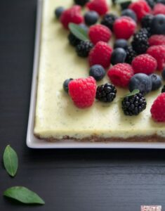 {Quick Cookbook Review}: Donna Hay’s Fresh and Light Berry Slice
