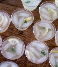 Rosemary Lemon Spritzer
